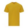Softstyle Midweight T-Shirt - Daisy
